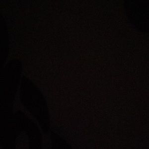 Meet your Posher, Ana